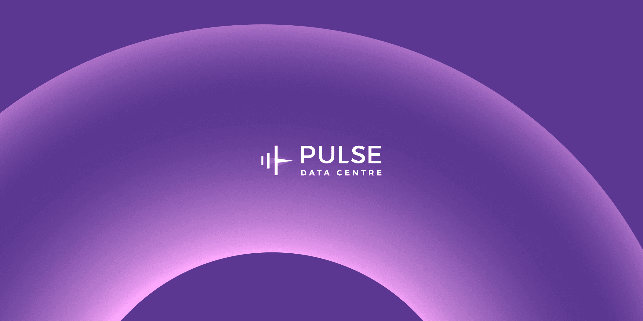 Pulse Data Center Cae Study