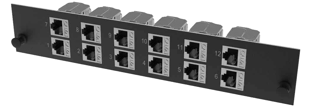 CXD-Copper-12port-Module-1